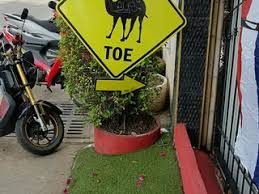 Here is the translation and the spanish word for camel Bar The Camel Toe Nearby Pattaya In Thailand 0 Reviews Address Website Maps Me