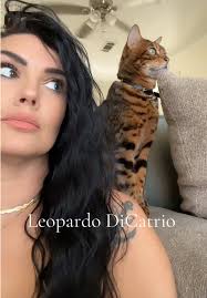 ¿Qué piensan los gatos? Reflexiones de un Bengalí