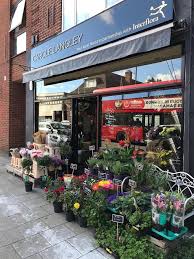 We did not find results for: Botany Bay Florist Same Day Flower Delivery Order By 12pm