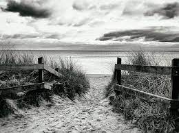Black And White Photography Art For Sale Home Decor Framed Prints Tot Black And White Landscape Black And White Photography Landscape Landscape Photography