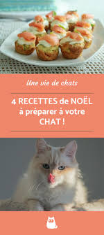 4 Recettes De Noel Pour Chats Alimentation Chat Recettes Noel Recettes Pour Chien