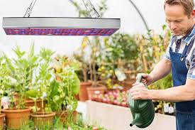 Maybe you would like to learn more about one of these? The Best Led Grow Lights For Your Indoor Garden Bob Vila