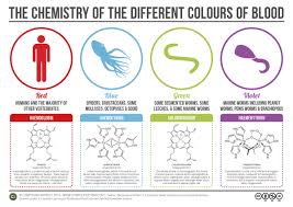 Why Some Animals Have Blue Green Or Purple Blood Vox