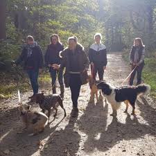 Bien être canin- Comportementaliste canin- Promenades collectives & Pension familiale