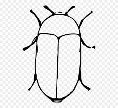 Gambar gambar bunga kartun hitam putih kupu caligrafi. Ladybug Outline Ladybug Outline 5023229 Shop Of Clipart Hewan Kumbang Kartun Hitam Putih Png Download 1254097 Pinclipart