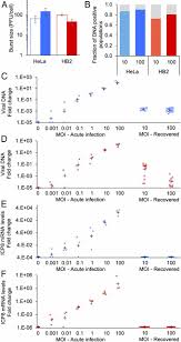 My husbands herpes 1 and 2 test came back high 42.1 high is what the lab report says it is for 1 and 2 after that is a result foe 2 which is<0.9 what does this mean how. Abortive Herpes Simplex Virus Infection Of Nonneuronal Cells Results In Quiescent Viral Genomes That Can Reactivate Pnas