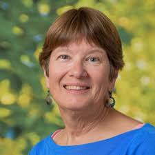 CHESTNUT HILL SCHOOL