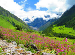 Valley of flowers in india. Beautiful Hill Stations In India Valley Of Flowers