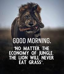 Pin By Vishwanath On Good Morning Good Morning Quotes Success Principles Hard Work Quotes