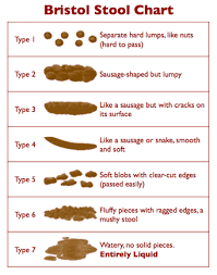 Image result for thin ribbon stools human poop