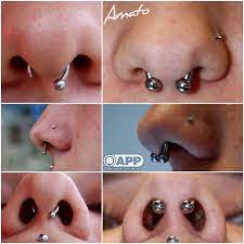 Septum Amato Fine Jewelry Body Piercing