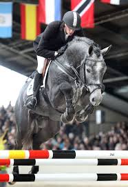 Pin By Cindy Wolkens On Horses Horses Eventing Horses Warmblood Horses