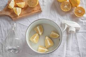 7 Natural Flea Remedies For Cats And Dogs