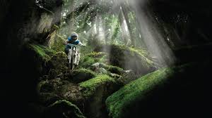 Downhill Wallpapers Enduro Downhill Freeride Mtb Mtb Downhill Freeride Mountain Bike
