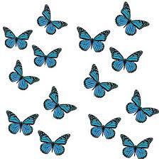 Sammlung von carina st • zuletzt aktualisiert: 29 Schmetterlinge Ausdrucken Ideen Ausdrucken Schmetterling Vorlage Schmetterlingszeichnung