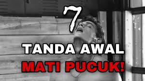 Biasanya tanda awal mati pucuk adalah zakar mengecil dari sebelumnya, tidak cukup keras, dan tidak dapat bertahan lama. 7 Tanda Awal Mati Pucuk Episor Store