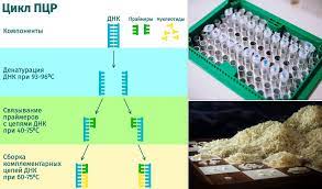 Pcr stands for polymerase chain reaction and is a mainstay of virtually every molecular biology lab. Facebook