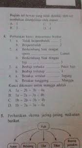 Selai kacang adalah makanan yang dibuat dengan bahan utama kacang tanah dengan cara disangrai dan dihaluskan setelah itu diberi gula dan garam, Dikotomi Adalah