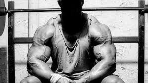 Steroids are important in biology, chemistry, and medicine. Steroid Cycles Anabolic Basics For Beginners The Guide