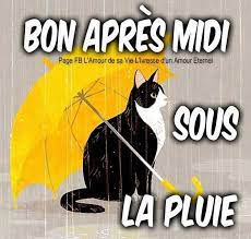 Pluies intenses accompagnées d'orage par moments sont attendues ce lundi 14 avril sur l'ensemble arrêté mercredi et libéré sous caution jeudi, l'homme, qui est ressorti du poste de police de moka suivez le meilleur de l'actualité à l'île maurice. Bon Apres Midi Sous La Pluie Bonapresmidi Pluie Parapluie Chat Bon Apres Midi Apres Midi Photos De Chats Rigolos