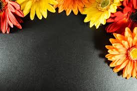 These are the search results for flowers. Red Orange And Yellow Fake Flowers Creative Commons Bilder