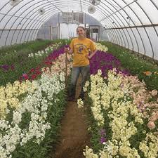 Caterpillar tunnel: An inexpensive variation