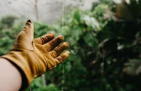 Check spelling or type a new query. Find Local Gardening Services Hire A Gardener Near You Bark