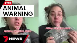 Distraught woman's warning about dog collars after her pet unexpectedly died