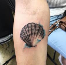 They were also considered to be a symbol of status and rank of an individual in the i can draw different tattoo styles and bring your ideas to life, so don't worry i can make it happen. 45 Beautiful Seashell Tattoos You Ll Love Tattooblend