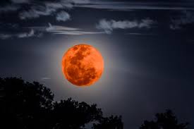 We did not find results for: Horoskop Vollmond Am 22 August Die Wichtigsten Infos Im Uberblick Brigitte De