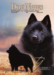 We did not find results for: Dog News November 23 2012 By Dog News Issuu