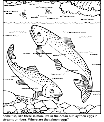 These free animal coloring pages are printable. Salmon Coloring Pages Coloring Home