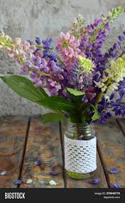 Probably only good for a mermaid wedding, but maybe you are in fact having a mermaid wedding. Pink Purple Lupine Image Photo Free Trial Bigstock