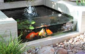 Dengan mengabaikan pressure loss akibat pipa bottom drain dan angka effisiensi pompa diambil 90% maka kapasitas pompa yang diperlukan dapat dijabarkan sesuai contoh dibawah ini, step 1. Tips Memilih Pompa Air Kolam Ikan Distributor Pompa Wasser Tangerang