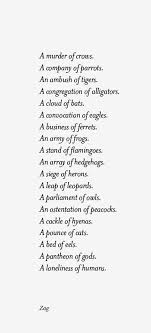 Wall Stuff Words Writing Words Quotations