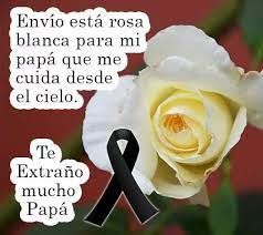 Monos De Luto Para Mi Papa Que Esta En El Cielo Imagenes Para Compartir Imagenes De Monos Padre En El Cielo Papa