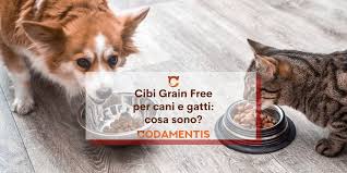 Alimenti tossici per il cane. Cibi Grain Free Per Cani E Gatti Cosa Significa Codamentis
