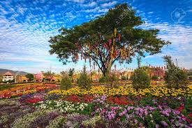 Pin On Asia So Beautiful