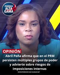 Diversidad de Grupos Internos en PRM según Abril Peña