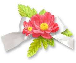 Find illustrations of fiori png. 86 Idee Su Fiori Png Fiori Png Giardino Di Tulipani
