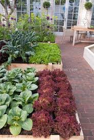 Suburban Urban Backyard Raised Beds Vegetable Garden On Brick Patio With Upscale House And French Doo Vegetable Garden Raised Beds Plants Growing Vegetables