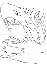 Free Easy To Print Shark Coloring Pages In 2020 Shark Coloring Pages Whale Coloring Pages Coloring Pages