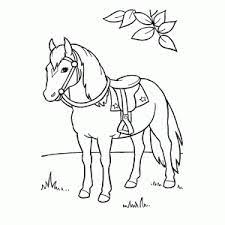 Kleurplaten van paarden op kids n fun vind je altijd de leukste kleurplaten het eerst. Kleurplaat Van Een Paard Printen Leuk Voor Kids