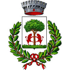 Albo pretorio e archivio atti. Home Comune Di Vitulazio