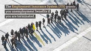 Providing up to 6 months of financial assistance. Legalflix The Employment Insurance System Eis Youtube
