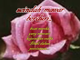 Saya sedang menggambar mawar berduri, kak. S6lna8clu05b7m