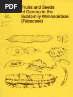 Image result for Allophylus fulvotomentosus