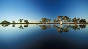Bing Com United Kingdom Daily Wallpaper A Billabong In Wooleen Station Western Australia C Davide Scagliola Aurora Photo Western Australia Scenery Australia