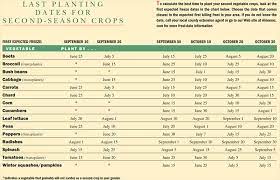16 vegetables you can grow in the shade. Fall Garden What To Plant For The Fall Planting Dates For Second Crops The Old Farmer S Almanac