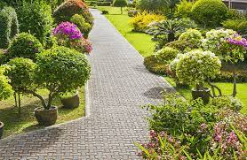 Services Elite Garden And Landscape